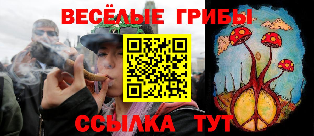 Галлюциногенные грибы Cubensis  Вход с VPN  Орск  Галлюциногенные грибы Psilocybine cubensis 