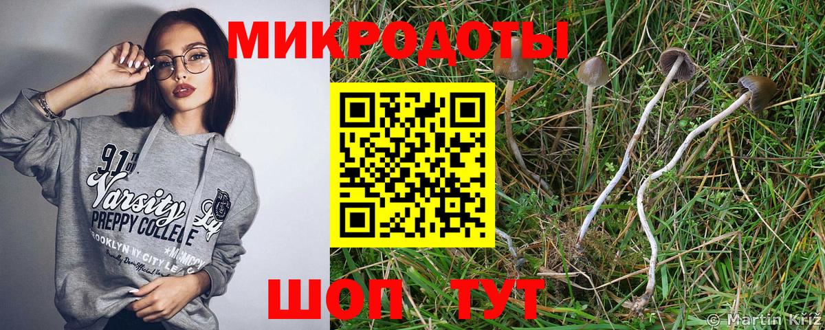 Галлюциногенные грибы Cubensis  Орск 